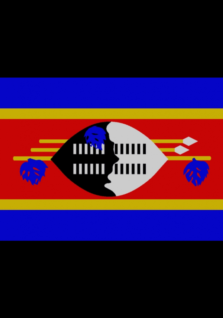 Limkokwing Swaziland Registration February 2013
